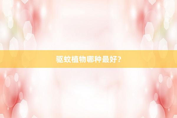 驱蚊植物哪种最好？